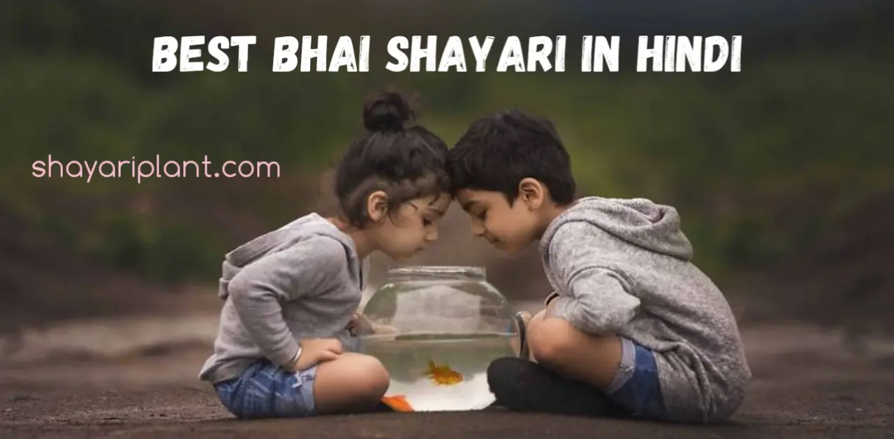 bada bhai shayari, behan bhai shayari, behan bhai status, bhai bhai shayari, bhai bhai status, bhai shayari, bhai shayari attitude, bhai shayari gujarati, bhai shayari in hindi, bhai status, big brother shayari, big brother shayari in hindi, birthday shayari for brother, brother shayari, brother shayari attitude, brother shayari in hindi, brother shayari in marathi, brothers quotes, brothers quotes for instagram, brothers quotes in hindi, brothers quotes love, chota bhai shayari, for brothers quotes, happy birthday bhai shayari, happy birthday brother shayari, happy birthday shayari for brother, hindi bhai status, hindi shayari for brother and sister, Shayari for brother, shayari for brother in hindi, sister and brother shayari in hindi, sister brother shayari