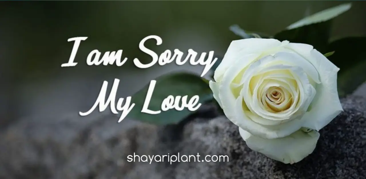 cute sorry quotes for best friends, fake sorry quotes, good morning with sorry quotes, sister sorry quotes, sorry busy quotes, sorry but not sorry quotes, sorry for best friend quotes, sorry for sister quotes, sorry god quotes, sorry i am not perfect quotes, sorry my friend quotes, sorry papa quotes, Sorry Quotes in hindi, sorry quotes in hindi for bf, Sorry shayari 2 line, sorry shayari for bf, sorry shayari for gf, Sorry Shayari Hindi, Sorry Shayari in Hindi, सॉरी शायरी हिंदी